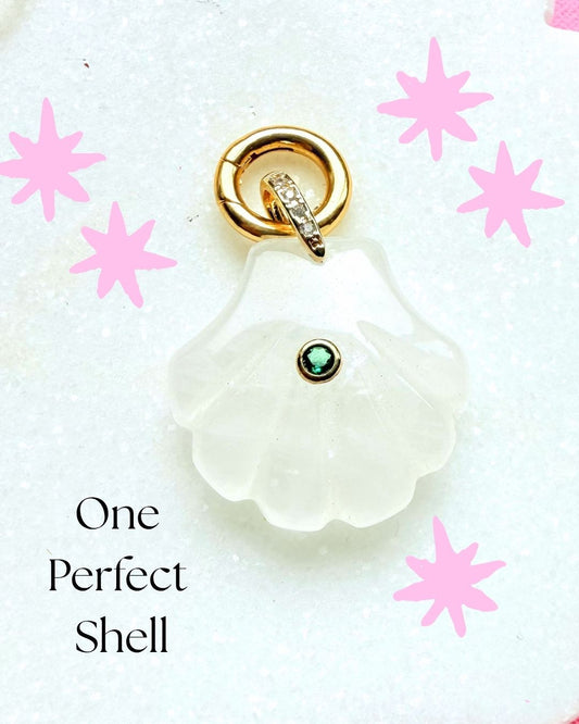 Unexpected Treasures: One Perfect Shell